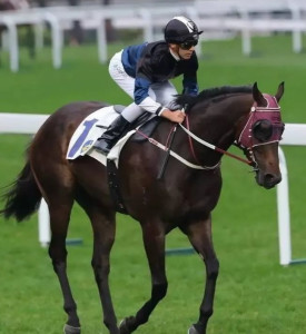 澳门赛马会 澳门赛马会