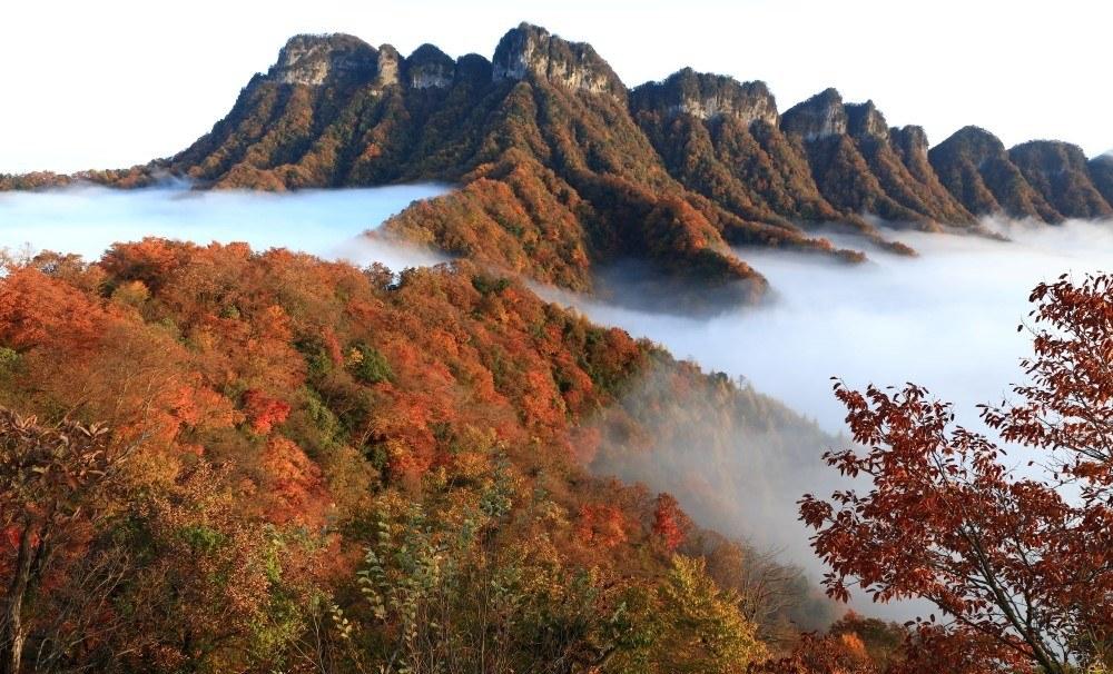 光雾山风景区