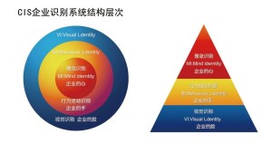 CIS策划