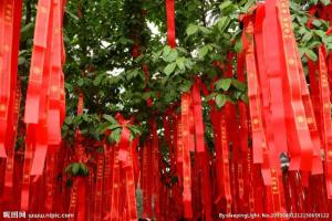 相思树【霸王祠//流浪式户外露营基地】