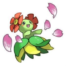 美丽花