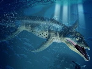 上龙(4)上龙的化石曾发现于英格兰,墨西哥,南美,澳