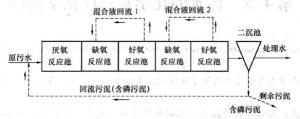 Phoredox工艺流程