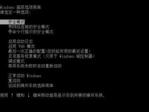 安全模式