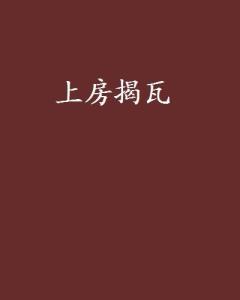 上房揭瓦
