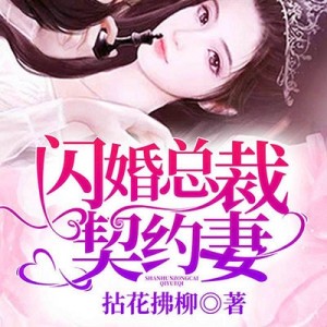 闪婚总裁契约妻