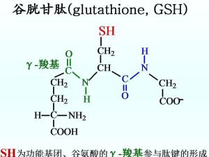 谷胱甘肽