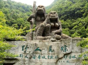神龙架