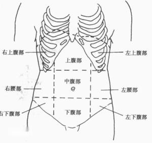 右季肋部的位置图图片