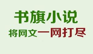 书旗小说