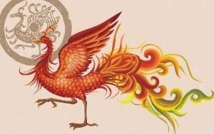 鹓鶵