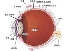 眼球震颤