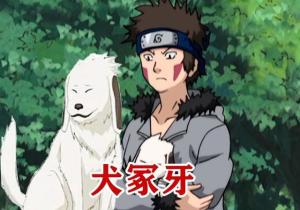 犬冢花
