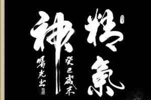 精气神 - 搜狗百科