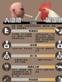 传播途径