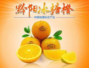 黔阳冰糖橙