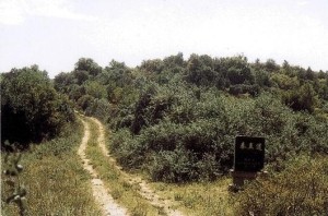 秦直道遗址