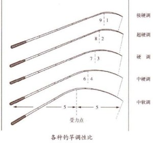 鱼竿的调性