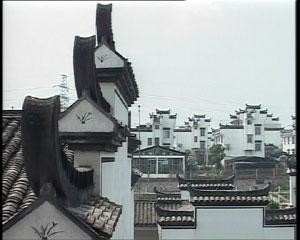 兰花村