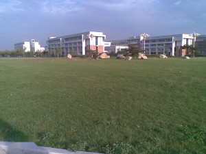 大学怎么学高尔夫 300
