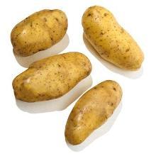 原料