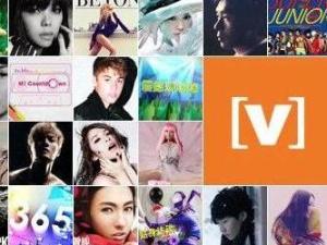 Channel V