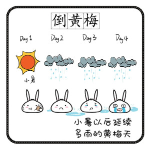 倒黄梅