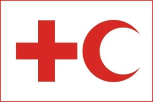 红新月会国际联合会