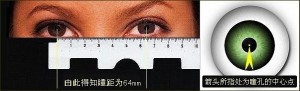 瞳距