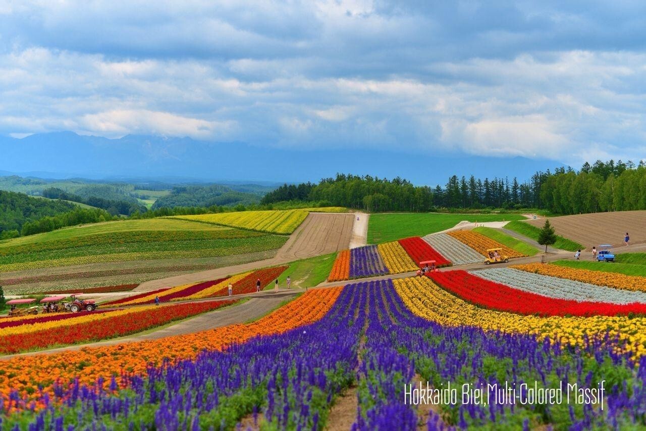 美瑛町 搜狗百科