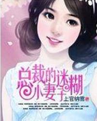 总裁小夫人，一部短剧的魅力与深度，总裁小夫人，短剧的魅力与深度探索