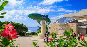 冲绳美之海水族馆