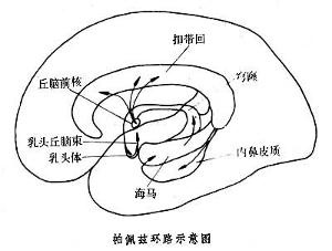 情绪