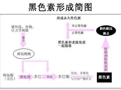 黑色素瘤形成