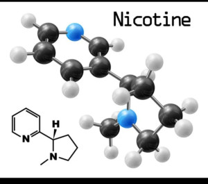 尼古丁——分子结构