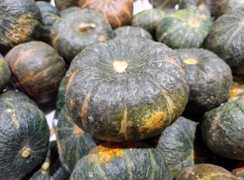 板栗南瓜 - 搜狗百科