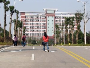 湖南电子科技职业学院