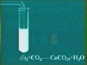 氢氧化钙与二氧化碳反应