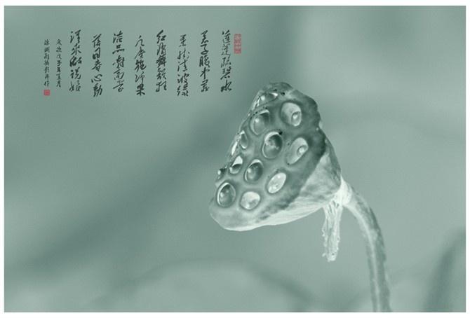 该版本已锁定 摘要 目录 目录 大事记 光影集锦 图册集锦 花絮视频