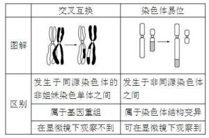 交叉互换