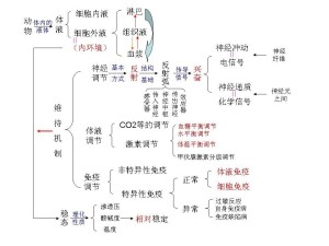 内环境