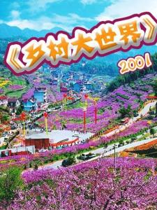 乡村大世界