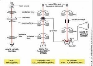 光学显微镜、TEM、SEM成像原理比较 光学显微镜、TEM、SEM成像原理比较