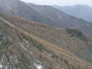 太白积雪