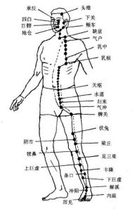 足阳明胃经