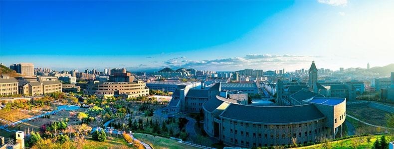 大连东软信息学院