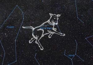 大犬座 搜狗百科 大犬座 搜狗百科