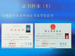 大专学历