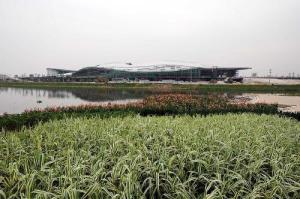 广州亚运城综合体育馆周围的湿地生态系统。