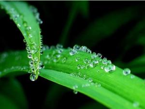 癸水，雨露之水。